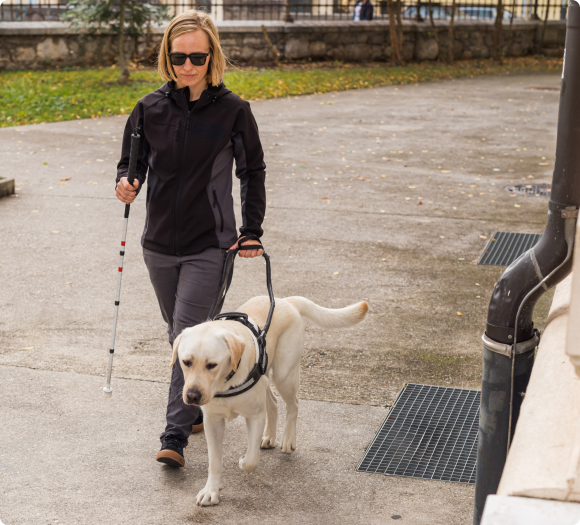 Service Animal ID Example