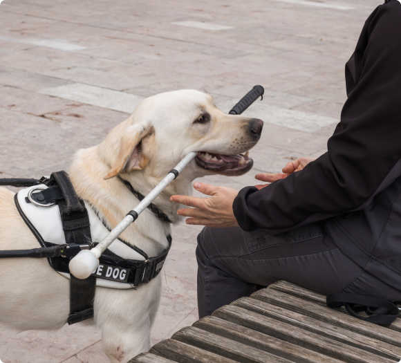 Service Dog Profile Page