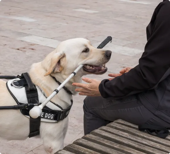 Service Dog Profile Page