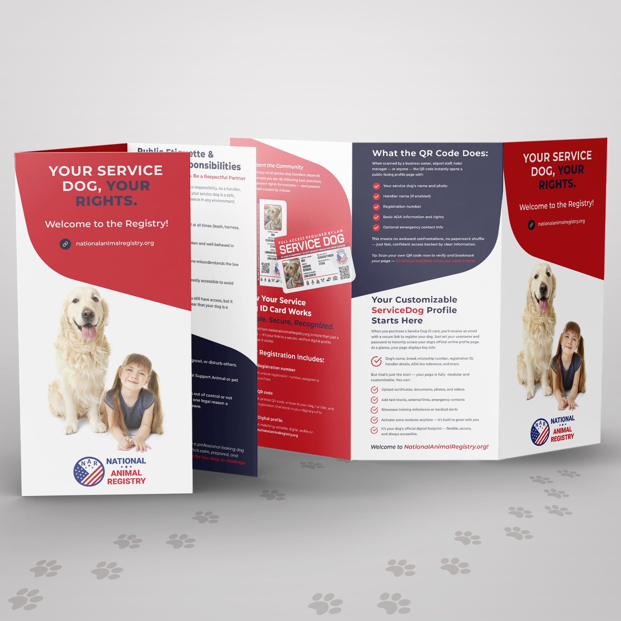 Service Dog Guide (Tri-Fold Brochure)